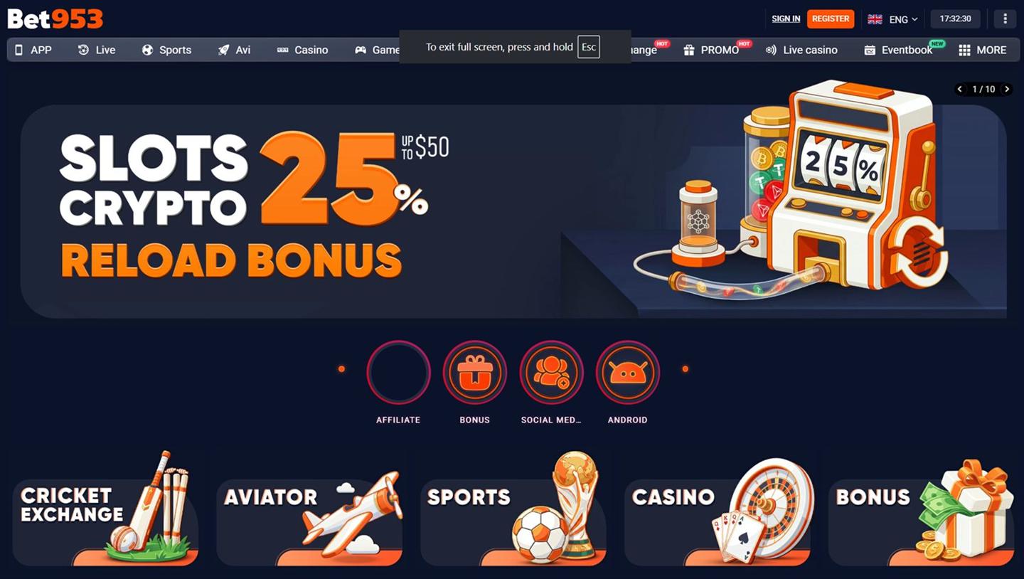 BET953 sportsbook interface